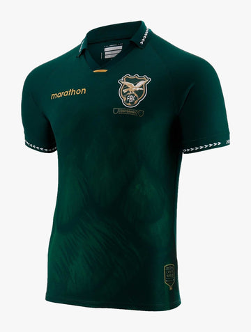Camiseta Bolivia 24/25 1ª equipación