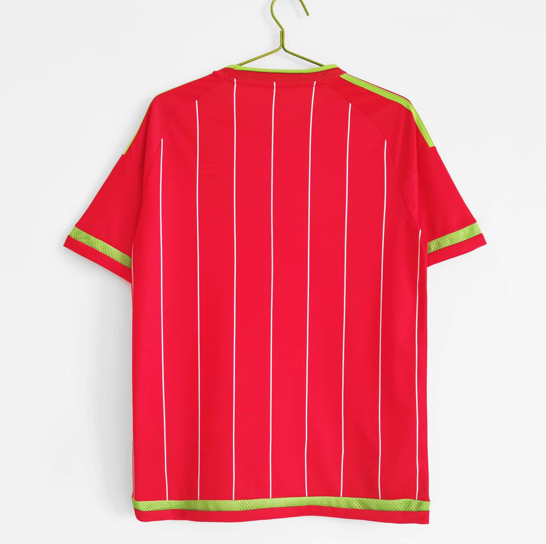 Camiseta Gales 15/16 1ª equipación