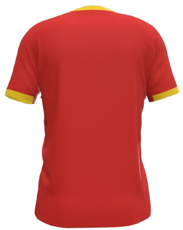 Camiseta Guinea 24/25 1ª equipación