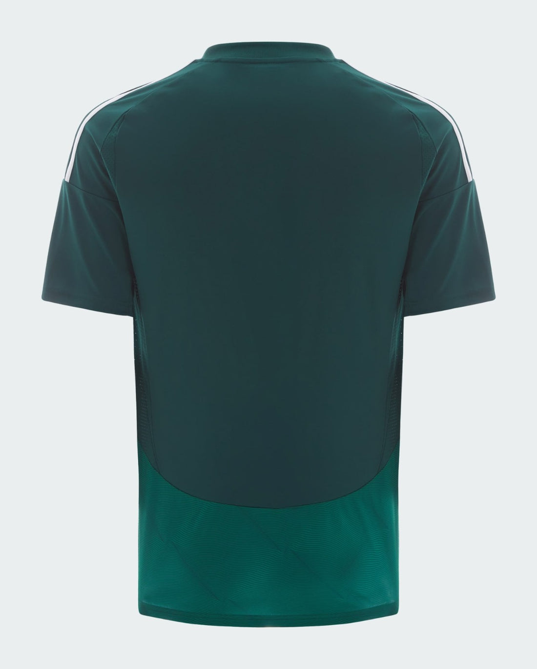 Camiseta Al Ahli 24/25 2ª equipación