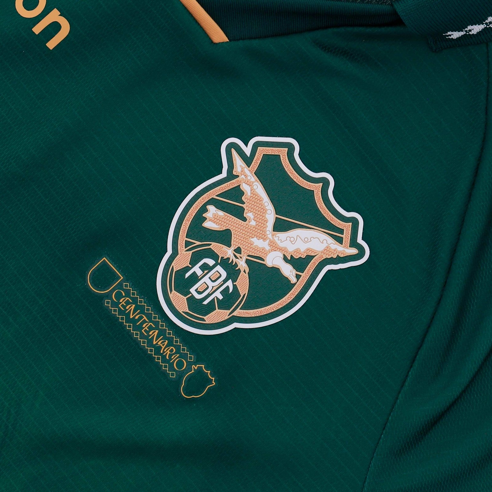 Camiseta Bolivia 24/25 1ª equipación