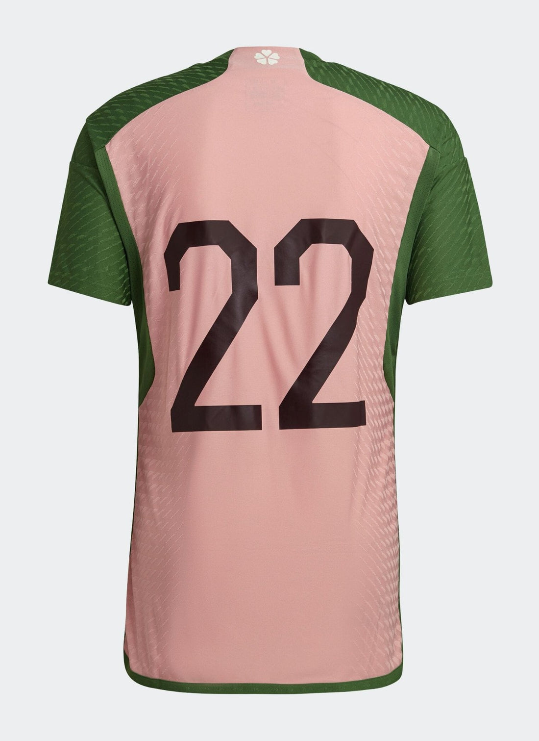 Camiseta Japón 22/23 Edición Especial