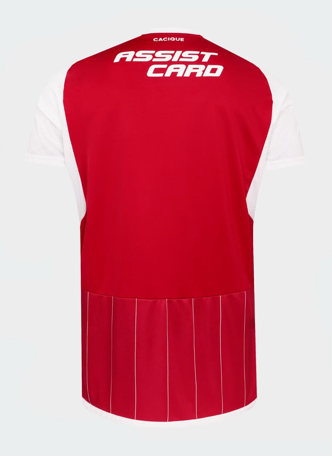 Camiseta Colo Colo 24/25 3ª equipación