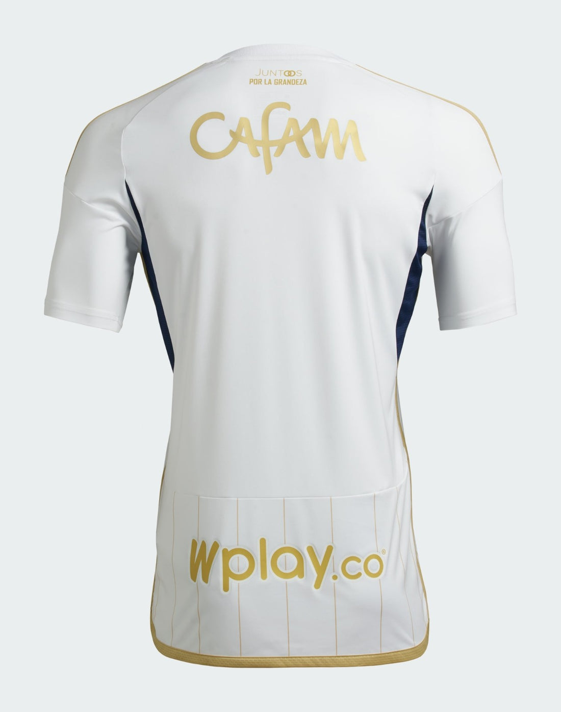 Camiseta Millonarios 24/25 2ª equipación