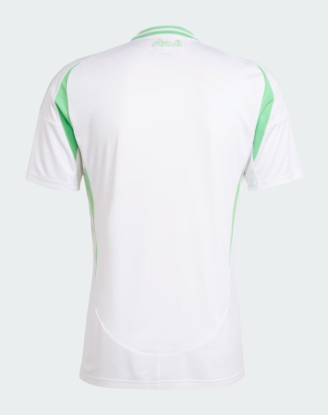 Camiseta Argelia 24/25 1ª equipación