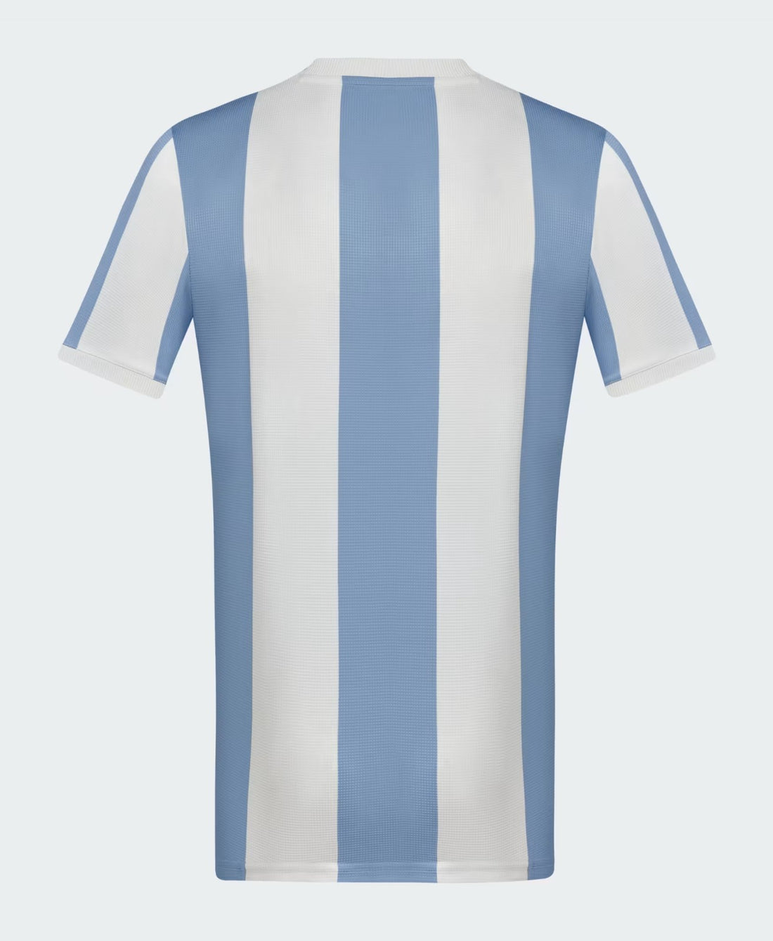 Camiseta Argentina 24/25 Edición Especial