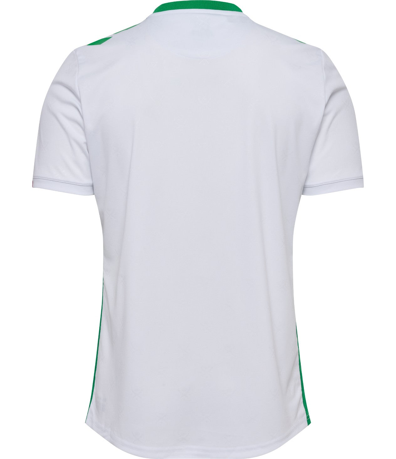 Camiseta Saint-Étienne 24/25 2ª equipación
