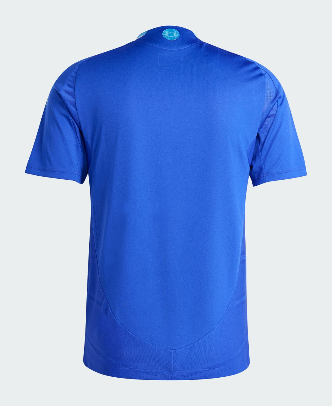 Camiseta Argentina 24/25 2ª equipación