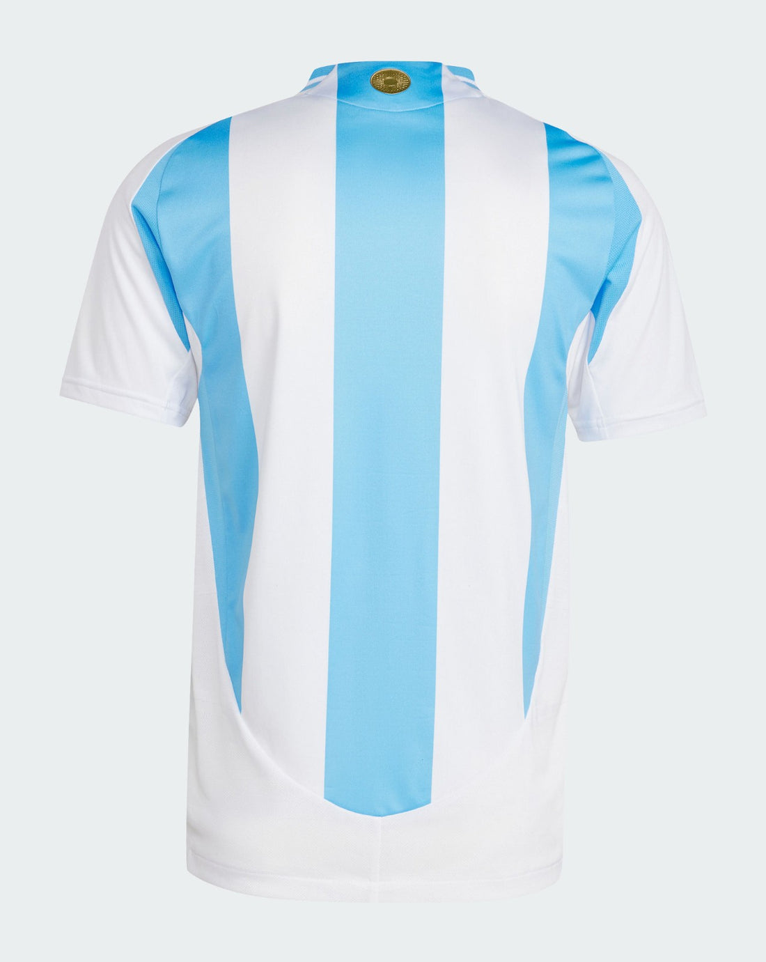 Camiseta Argentina 24/25 1ª equipación