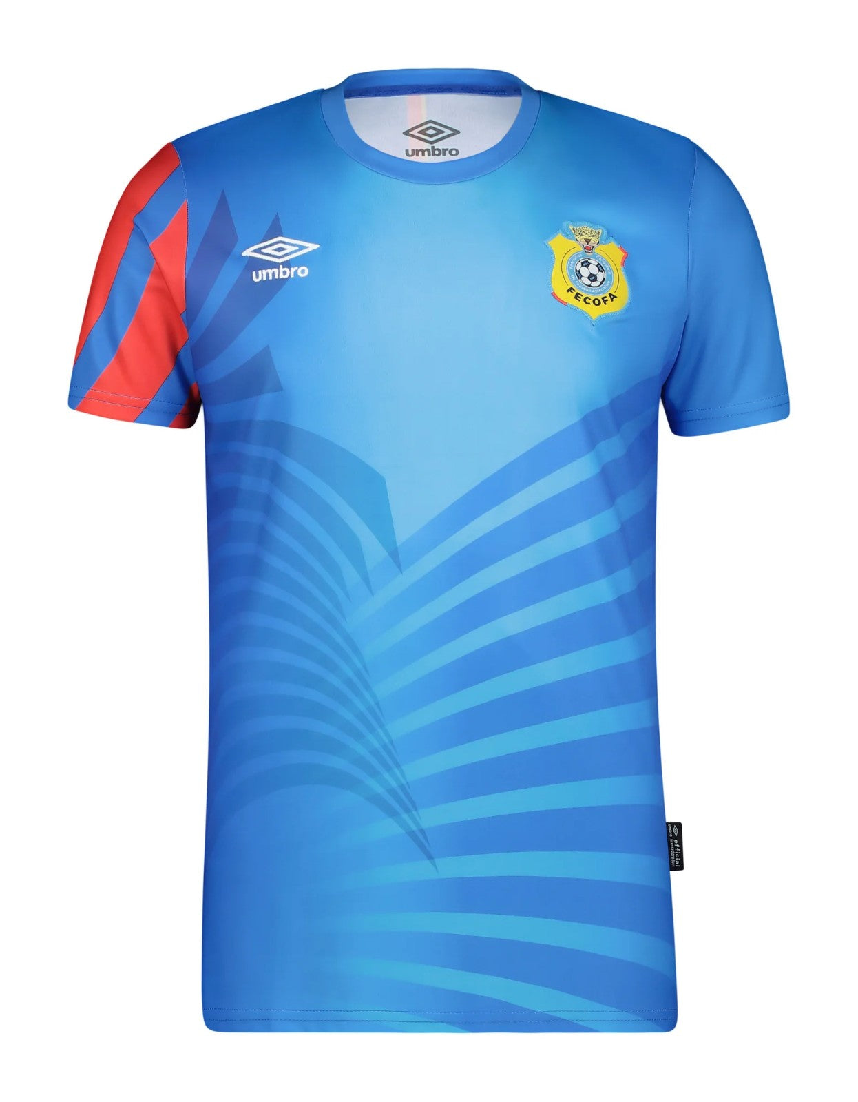 Camiseta República Democrática del Congo 24/25 1ª equipación
